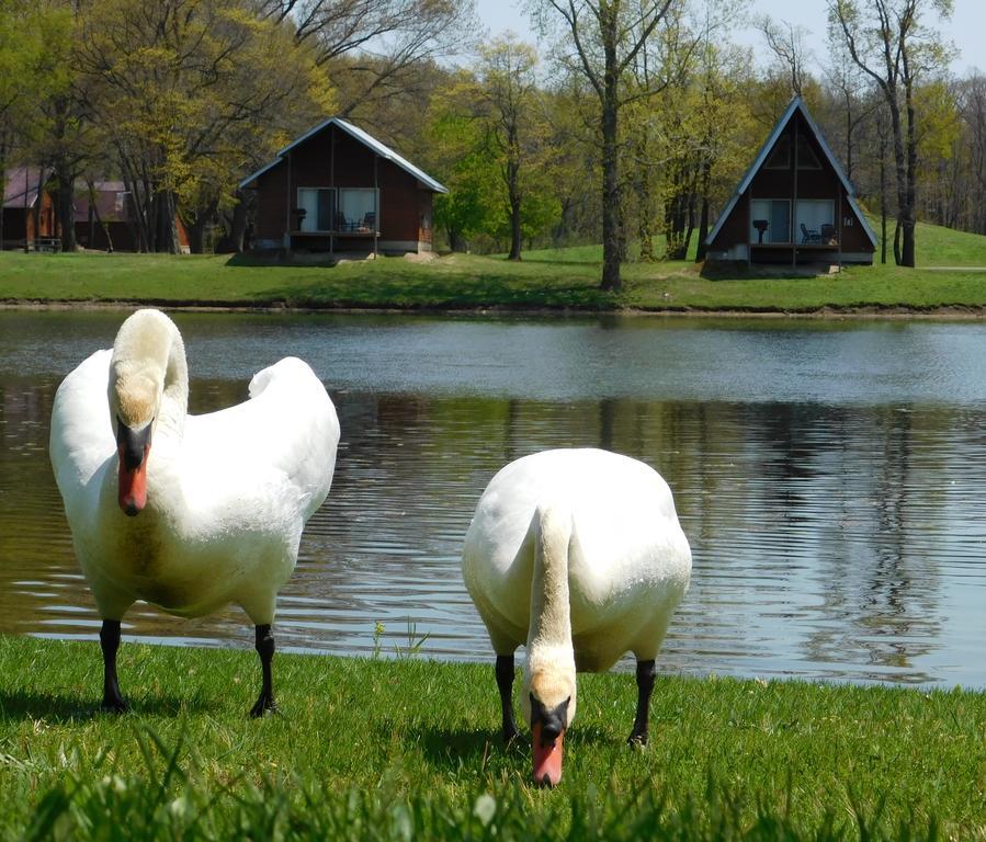 Serenity Springs - Michigan City Hotell Springfield Eksteriør bilde