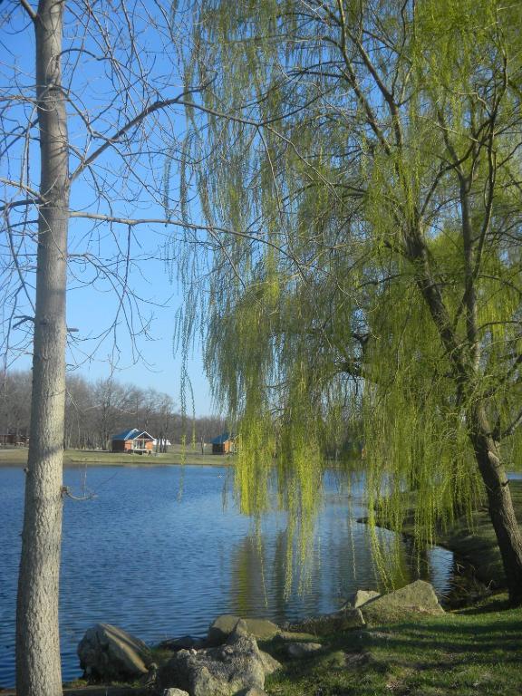 Serenity Springs - Michigan City Hotell Springfield Eksteriør bilde