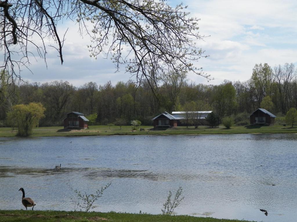 Serenity Springs - Michigan City Hotell Springfield Eksteriør bilde